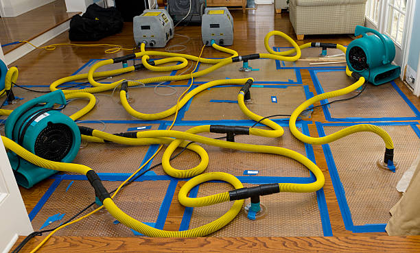 Professional Sewage Cleanup technician working in Palm Desert, CA